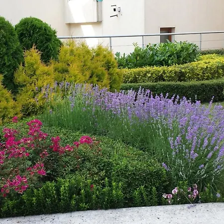 Wonderful Family With Sea View Villa Byala (Varna)