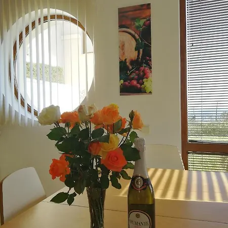 Wonderful Family With Sea View