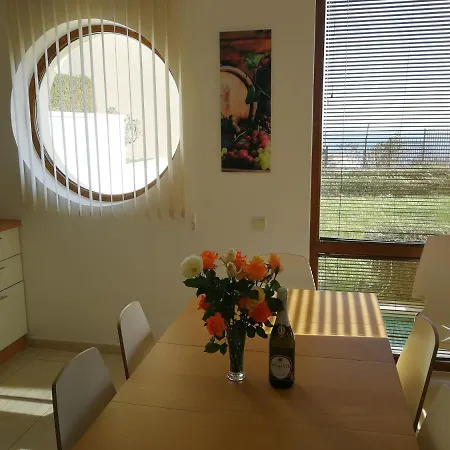 Wonderful Family With Sea View