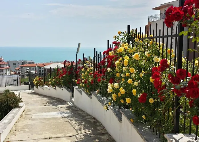 Wonderful Family With Sea View